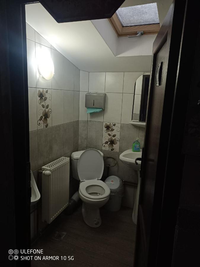Casa Lucescu Apartment Vatra Dornei Luaran gambar